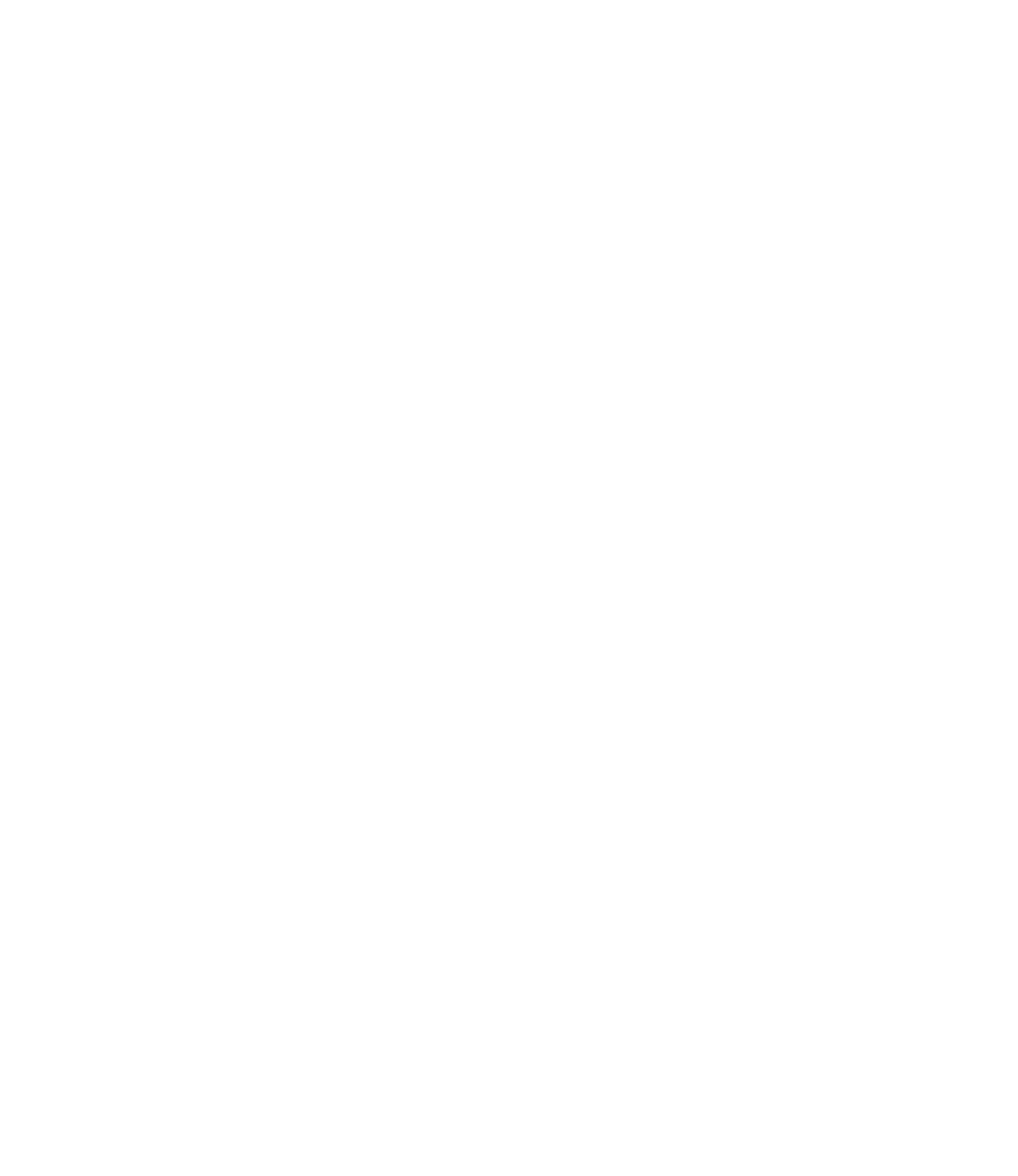 Center for Literacy and Disability Studies